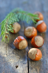 Image showing Hazelnuts on  wood table