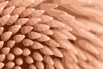 Image showing close up of toothpick vector illustration