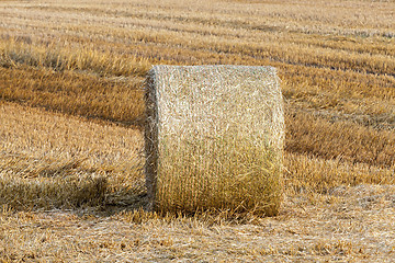 Image showing haystacks in a field of straw