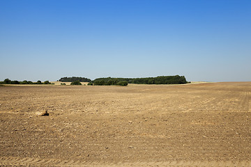 Image showing plowed agricultural field