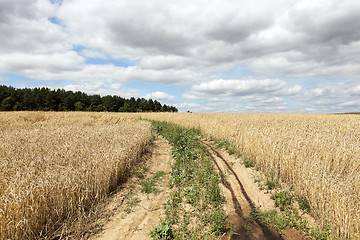 Image showing Rural paved road