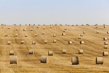 Image showing haystacks in a field of straw