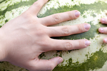 Image showing hand on watermelon