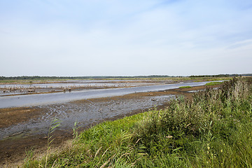 Image showing swamp, the end of summer