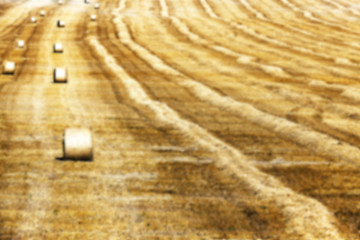 Image showing haystacks in a field of straw