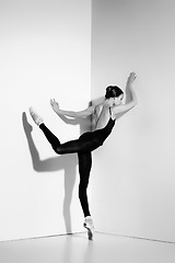 Image showing Ballerina in black outfit posing on pointe shoes, studio background.