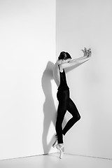 Image showing Ballerina in black outfit posing on pointe shoes, studio background.