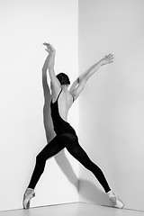 Image showing Ballerina in black outfit posing on pointe shoes, studio background.