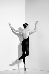 Image showing Ballerina in black outfit posing on pointe shoes, studio background.