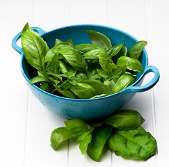 Image showing Fresh Basil Leafs