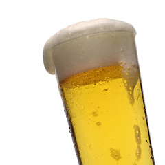 Image showing PINT OF beer on white background