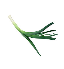 Image showing Green onions isolated on white with natural shadows.