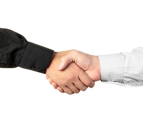 Image showing Businessmen shaking hands