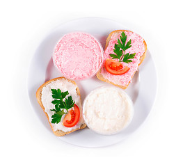 Image showing two toasts with caviar on plate