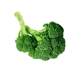 Image showing Fresh broccoli, isolated on white