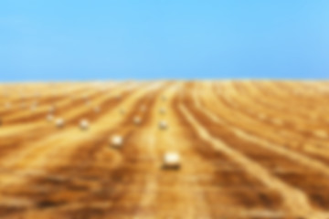 Image showing agriculture, not in focus