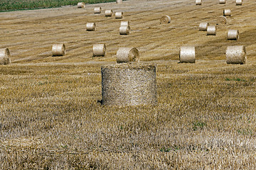 Image showing haystacks in a field of straw