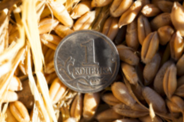 Image showing coin in the straw