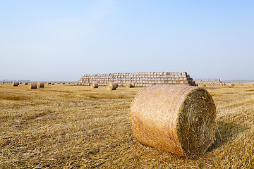 Image showing stack of straw in the field