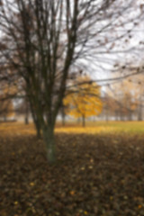 Image showing Autumn Park, overcast