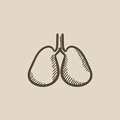 Image showing Lungs sketch icon.