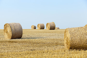 Image showing stack of straw in the field