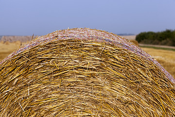 Image showing stack of straw in the field