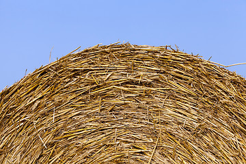 Image showing haystacks in a field of straw