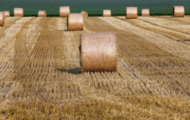 Image showing haystacks in a field of straw