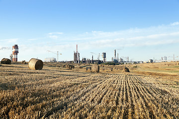 Image showing stack of straw in the field