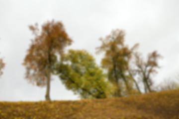 Image showing autumn in the park