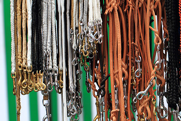 Image showing dog leads collection