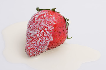 Image showing Strawberry and Cream