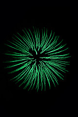 Image showing Green Fireworks