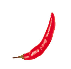 Image showing pepperoni on white