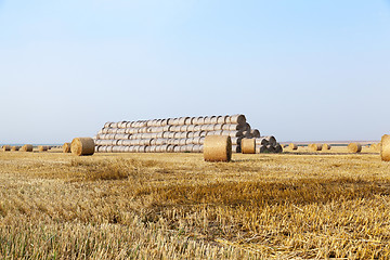 Image showing haystacks in a field of straw