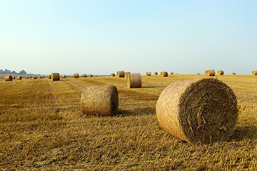 Image showing haystacks in a field of straw