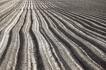 Image showing plowed field, furrows