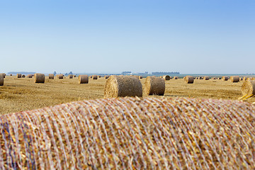 Image showing haystacks in a field of straw