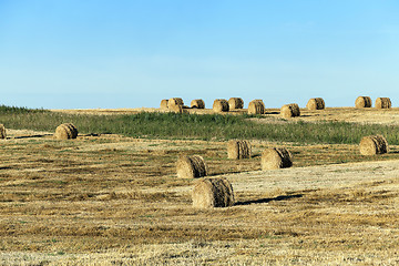 Image showing stack of straw in the field