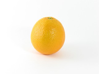 Image showing One Orange