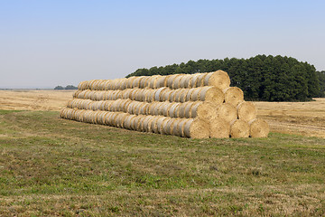 Image showing stack of wheat straw