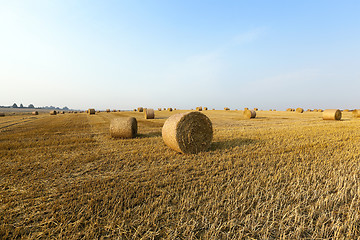 Image showing haystacks in a field of straw