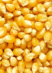 Image showing corn texture