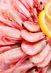 Image showing shrimp with lemon close up