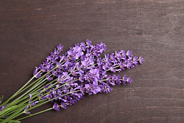 Image showing Lavender.