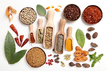 Image showing Spices and herbs.