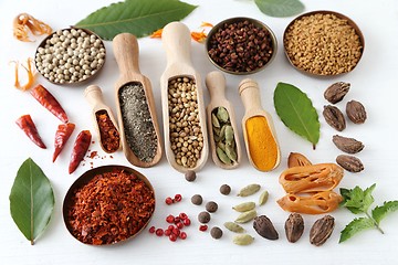 Image showing Spices.