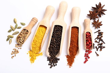 Image showing Spices.