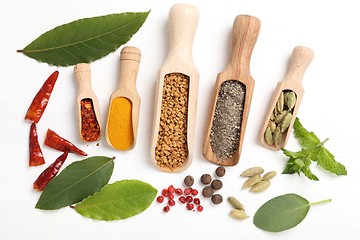 Image showing Spices and herbs.